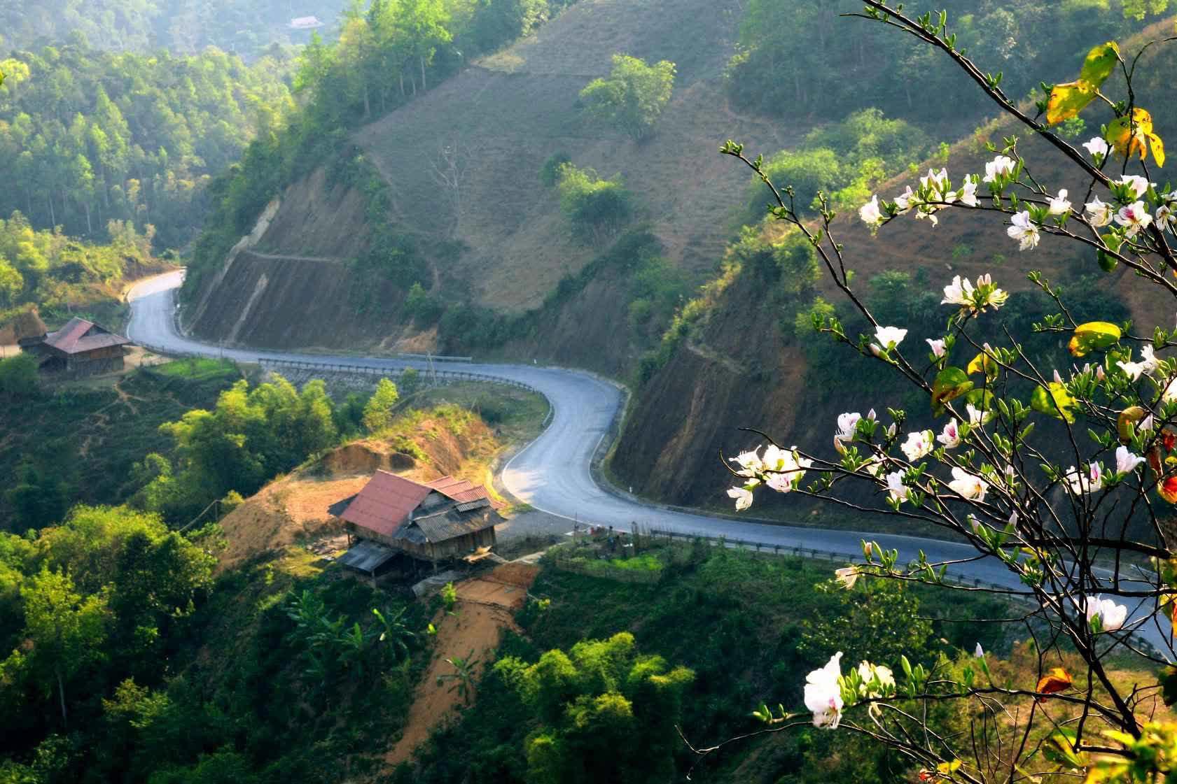 bàn bida điện biên